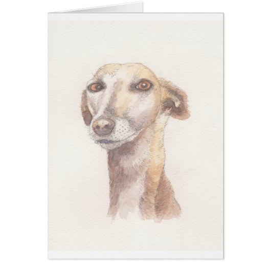 Greyhound portrait (Front)