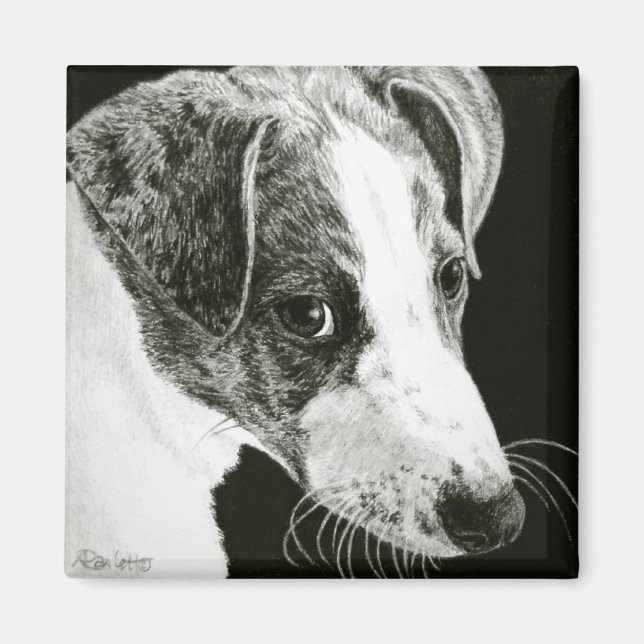 Greyhound Pup Magnet - "Paddy" (Front)