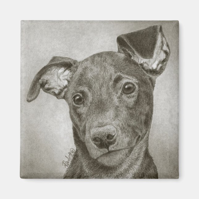 Greyhound Pup Magnet - "Waffle" (Front)