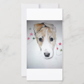 Greyhound Puppy (Front)