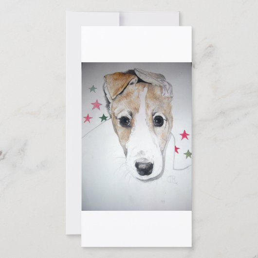 Greyhound Puppy (Front)