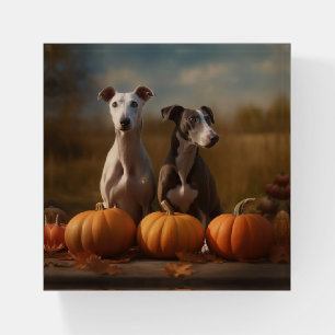 Greyhound Puppy Autumn Delight Pumpkin Paperweight
