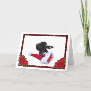 Greyhound Puppy with Christmas Santa Hat Holiday Card