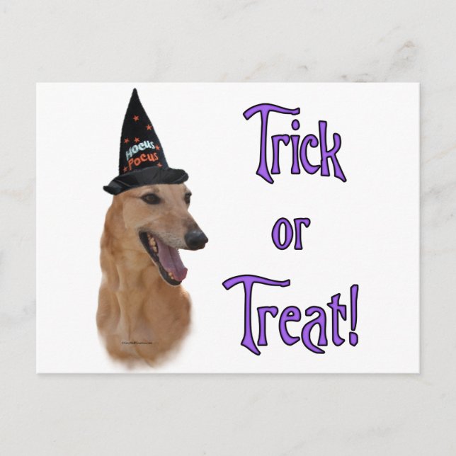 Greyhound (red) Trick Postcard (Front)