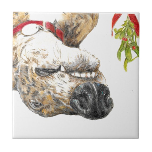 Greyhound roaching under the mistletoe tile (Front)