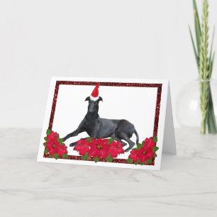 Greyhound Santa Hat Christmas Poinsettia Holiday Card