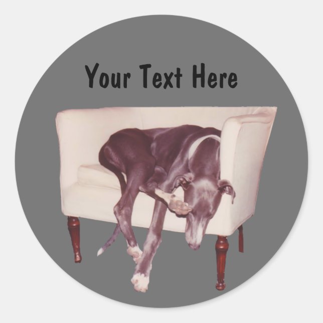 Greyhound Sleeping In Chair Funny Dog Sticker (Front)