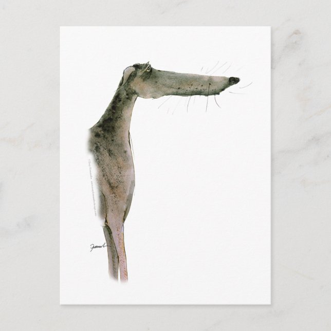 Greyhound, tony fernandes postcard (Front)