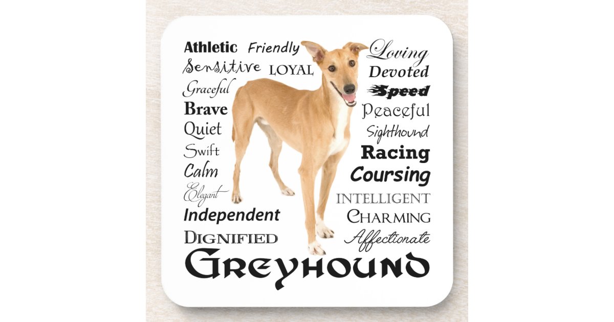 Greyhound Traits Coaster Set Zazzle