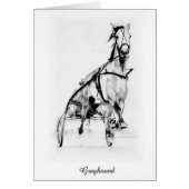 Greyhound Trotter (Front)