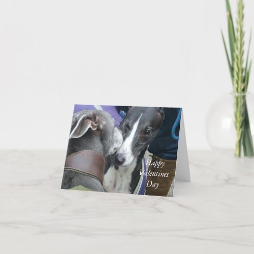 Greyhound Valentine p235 Holiday Card