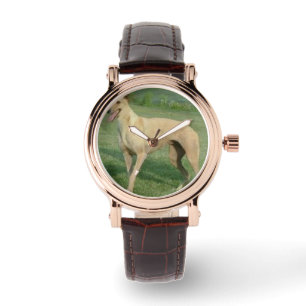Greyhound Watch by Hevener
