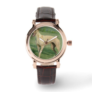 Greyhound Watch by Hevener