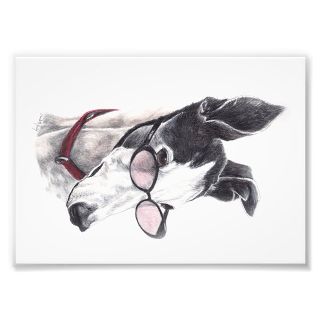 Greyhound with Glasses Photo Art Print (Front)