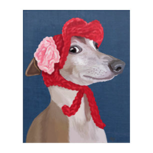 Greyhound with Red Woolly Hat Acrylic Print