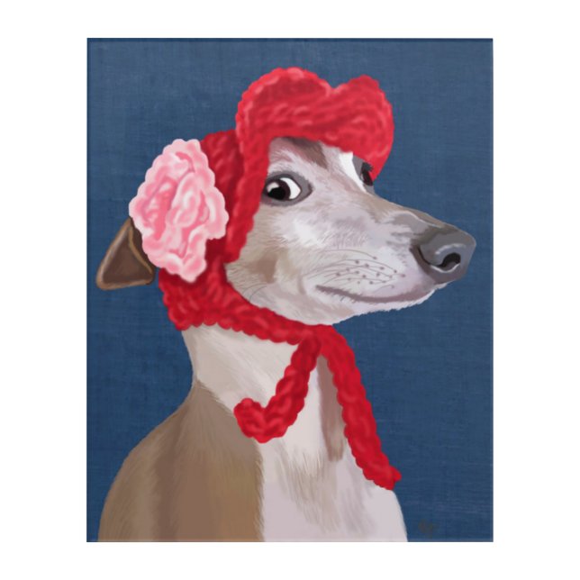 Greyhound with Red Woolly Hat Acrylic Print (Front)