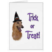 GreyhoundredTrick (Front)