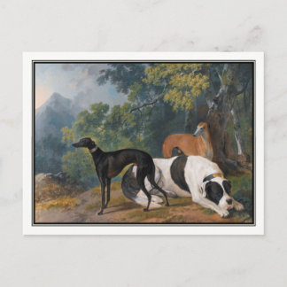 Greyhounds and Mastiff by Sawrey Gilpin Postcard