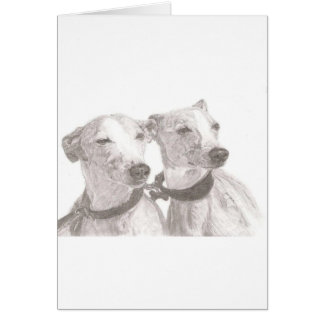 Greyhounds Cards