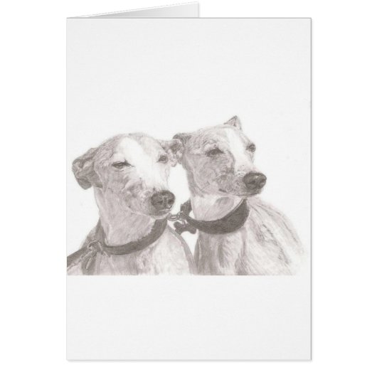 Greyhounds Cards (Front)