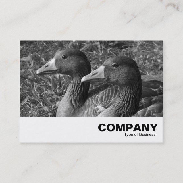 Greylag Geese B&W Business Card (Front)