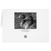 Greylag Geese B&W Cards (Back Horizontal)