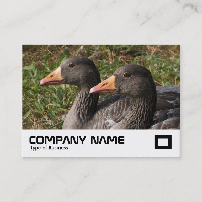 Greylag Geese Business Card (Front)