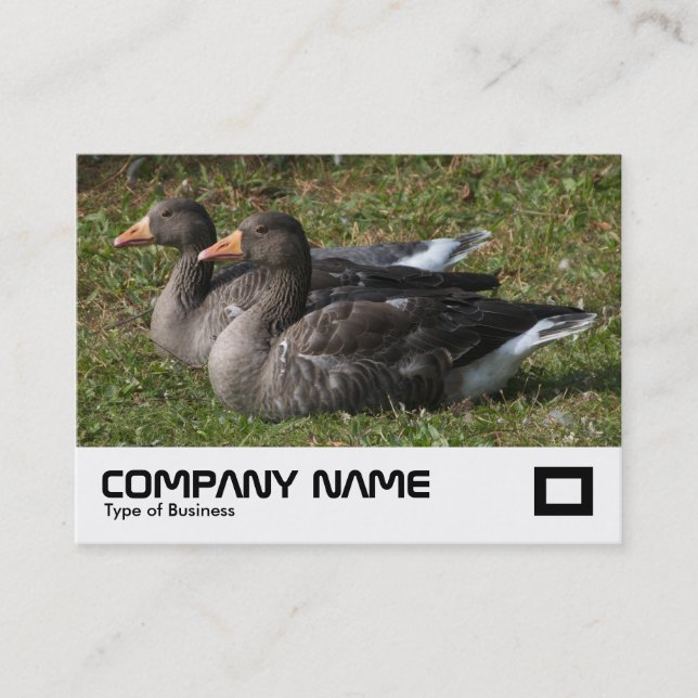 Greylag Geese Business Card (Front)
