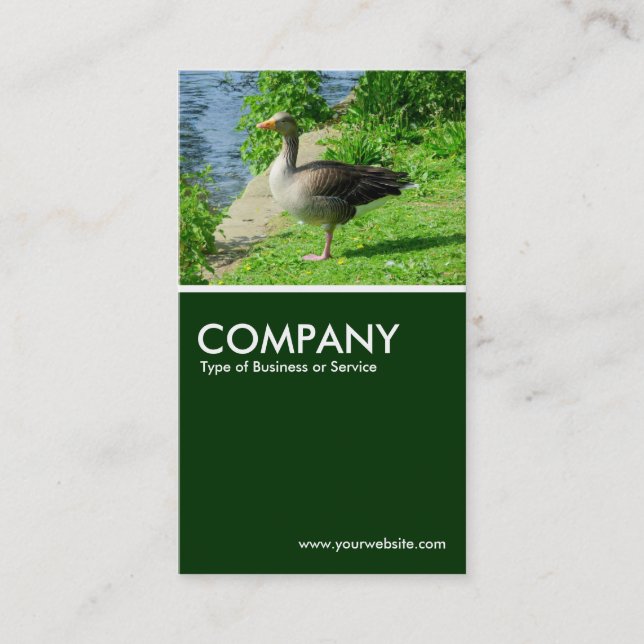 Greylag Goose - Dark Green Business Card (Front)