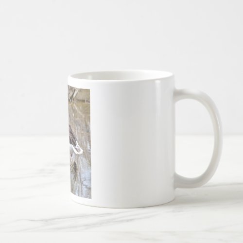 Greylag goose in water coffee mug