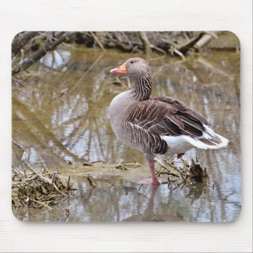 Greylag goose in water mouse pad