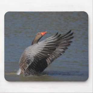 Greylag Goose Mouse Pad
