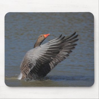 Greylag Goose Mouse Pad by Welshpixels at Zazzle