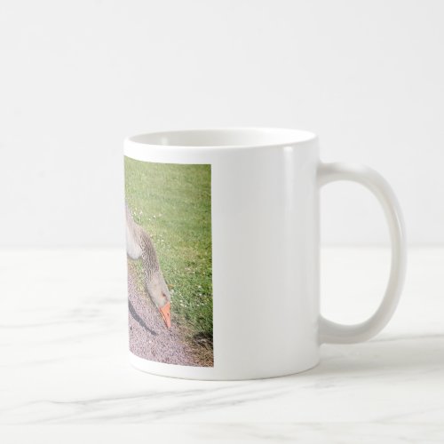 Greylag goose on gravel coffee mug