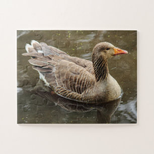 Greylag Goose. Roath Park Lake, Cardiff, Wales Jigsaw Puzzle