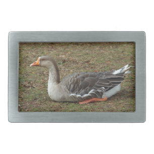 Greylag Swan Goose Cross Belt Buckle