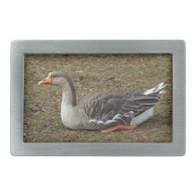 Greylag Swan Goose Cross Belt Buckle (Front)
