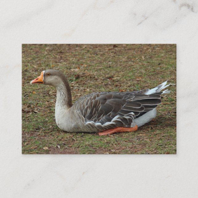 Greylag Swan Goose Cross Business Card (Front)