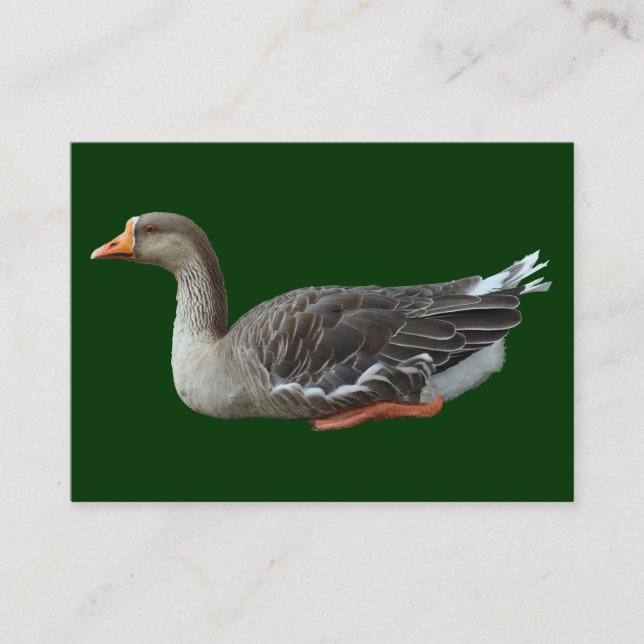 Greylag Swan Goose Cross (Isolated) Business Card (Front)
