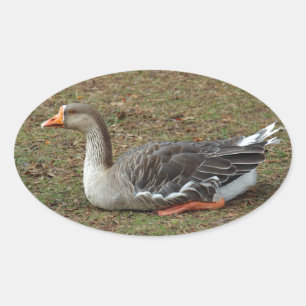 Greylag Swan Goose Cross Oval Sticker