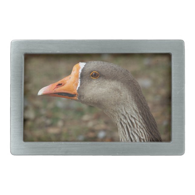 Greylag Swan Goose Cross Rectangular Belt Buckle (Front)