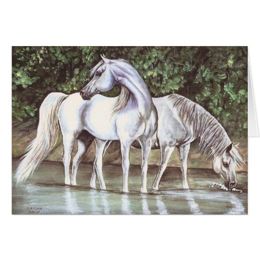 Greys in stream (Front Horizontal)