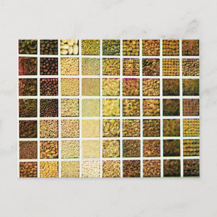 Grid of Seeds - 1912 Vintage Color Photo Postcard
