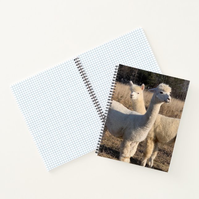 Grid Ruled Spiral Notebook - Abby & Bailey Alpaca (Inside)