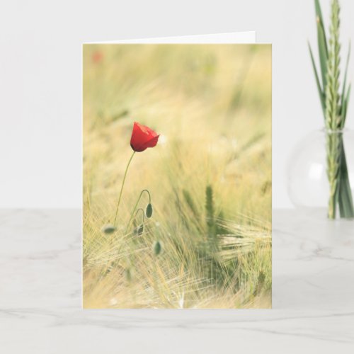 Grief is the Price of Love Quote Sympathy Card