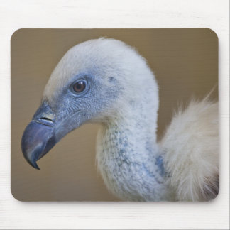 Griff Mousemat Mouse Pad