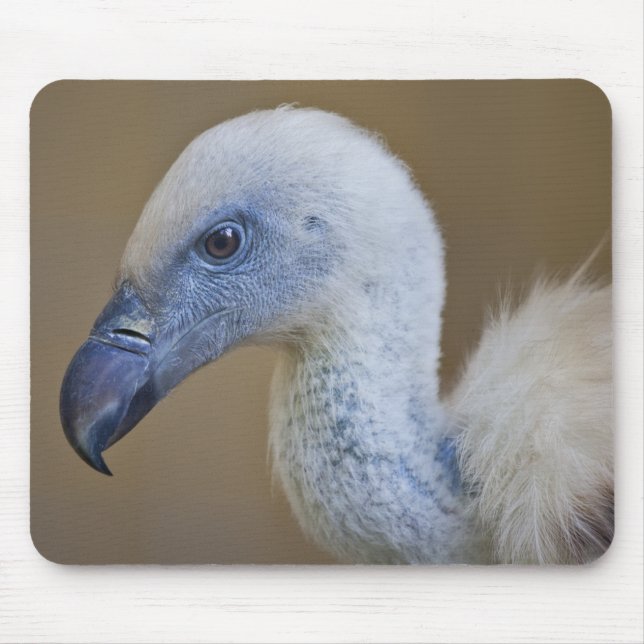 Griff Mousemat Mouse Pad (Front)