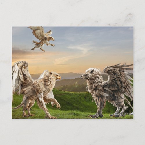 Griffin Gryphon Mythology  Postcard