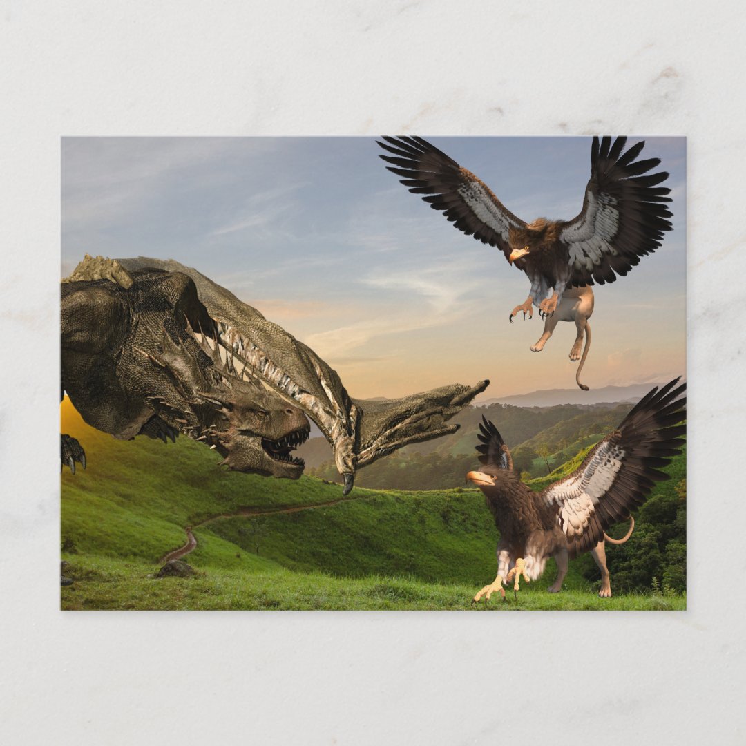 Griffin Vs Wyvern Fire Breathing Dragon Battle Postcard | Zazzle