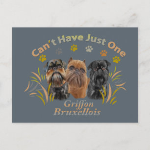 Griffon Brussels Can't Have Just One Postcard
